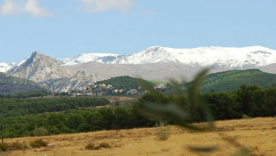 El Rincon De Pepa Appartement La Zubia  La Zubia (Granada)